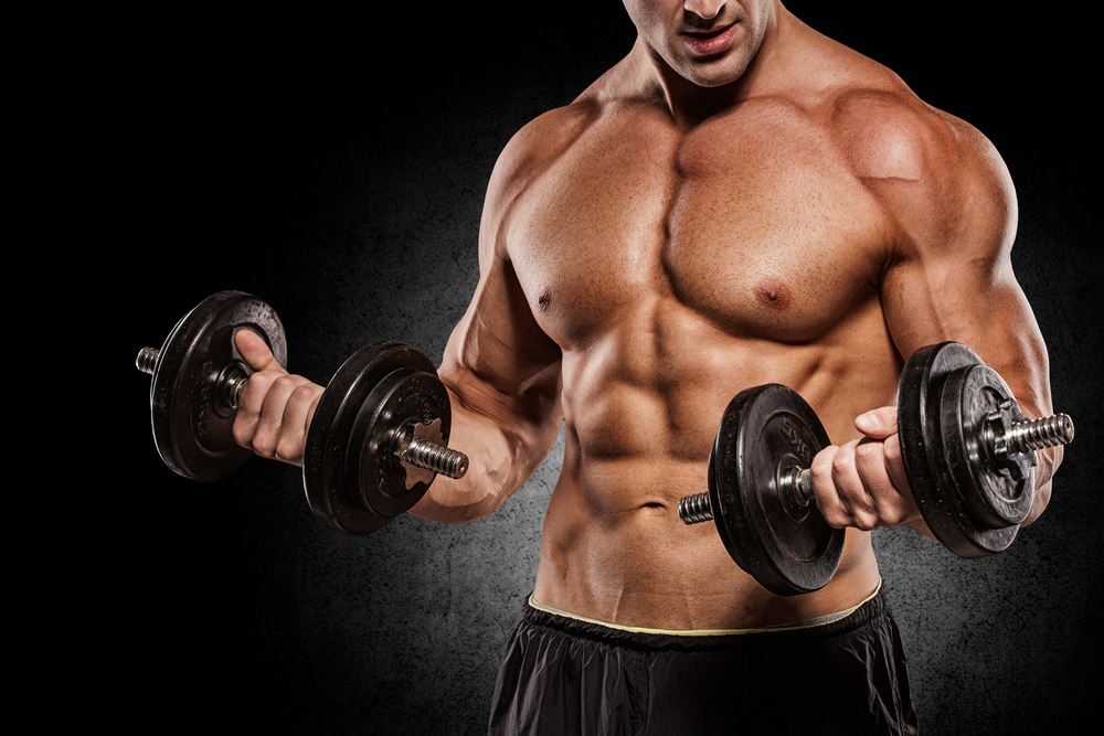 Fitness & Musculation